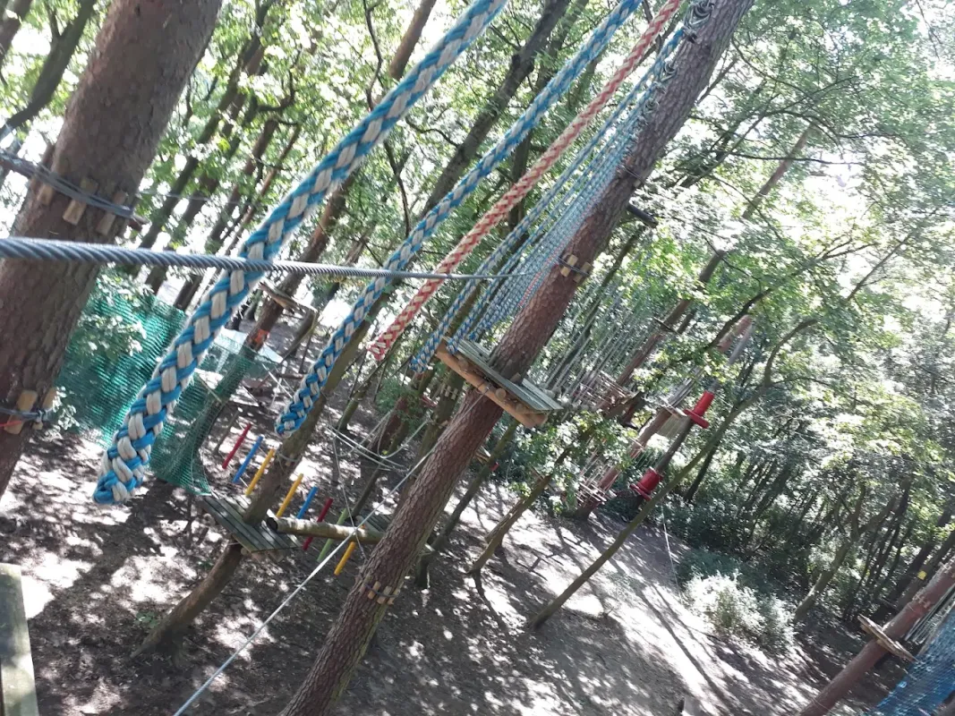 Tarzania Park Linowy